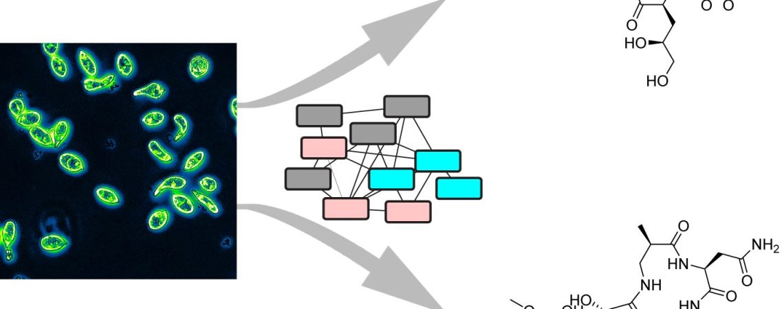 Elbanna et al.